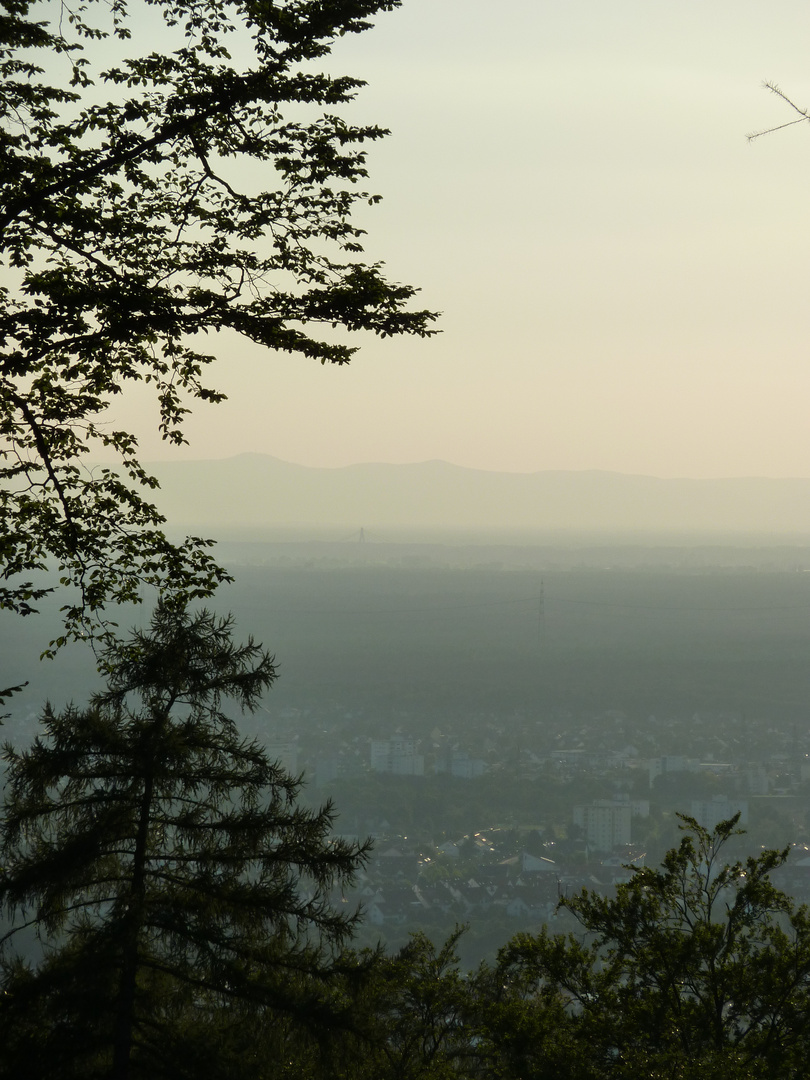 Blick auf Leimen von kleinen Odenwald aus