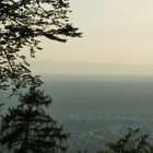 Blick auf Leimen von kleinen Odenwald aus