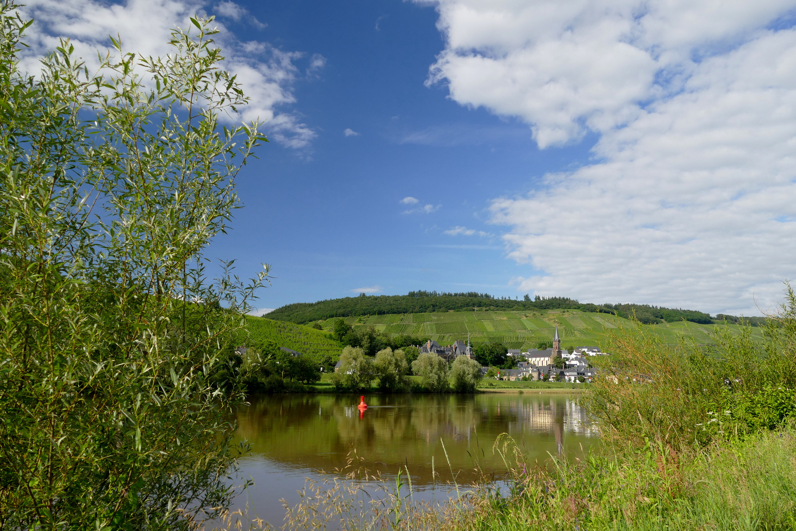 **Blick auf Lieser**