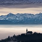 Blick auf Linz