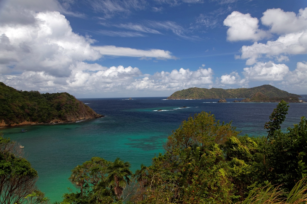 Blick auf Little Tobago