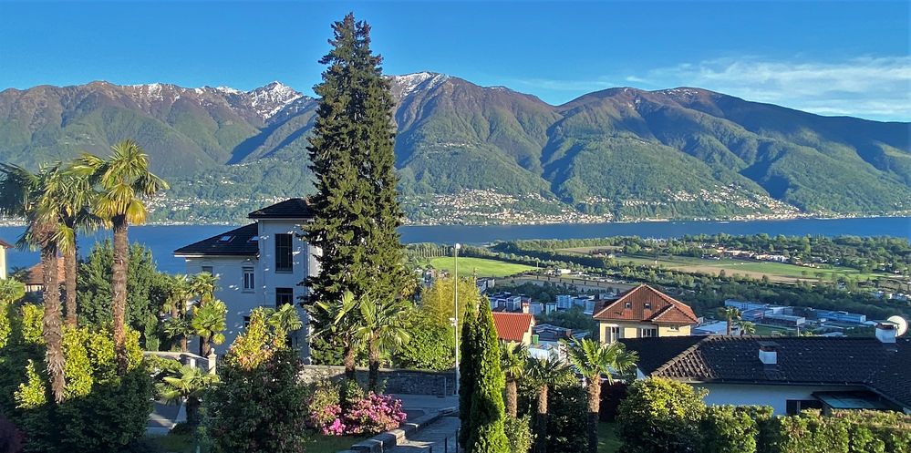 Blick auf Locarno und den Lago Maggiore