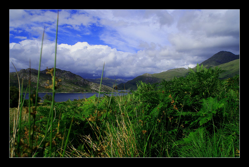 Blick auf Loch Ailort