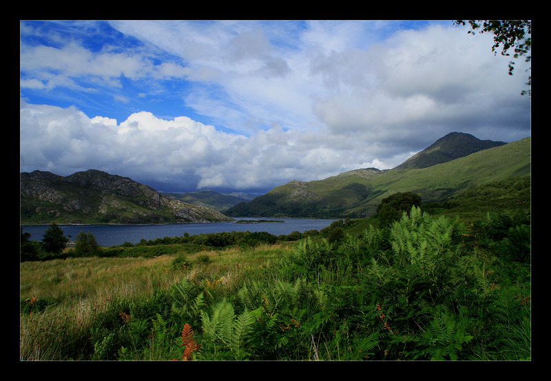 Blick auf Loch Ailort "ohne Gras"