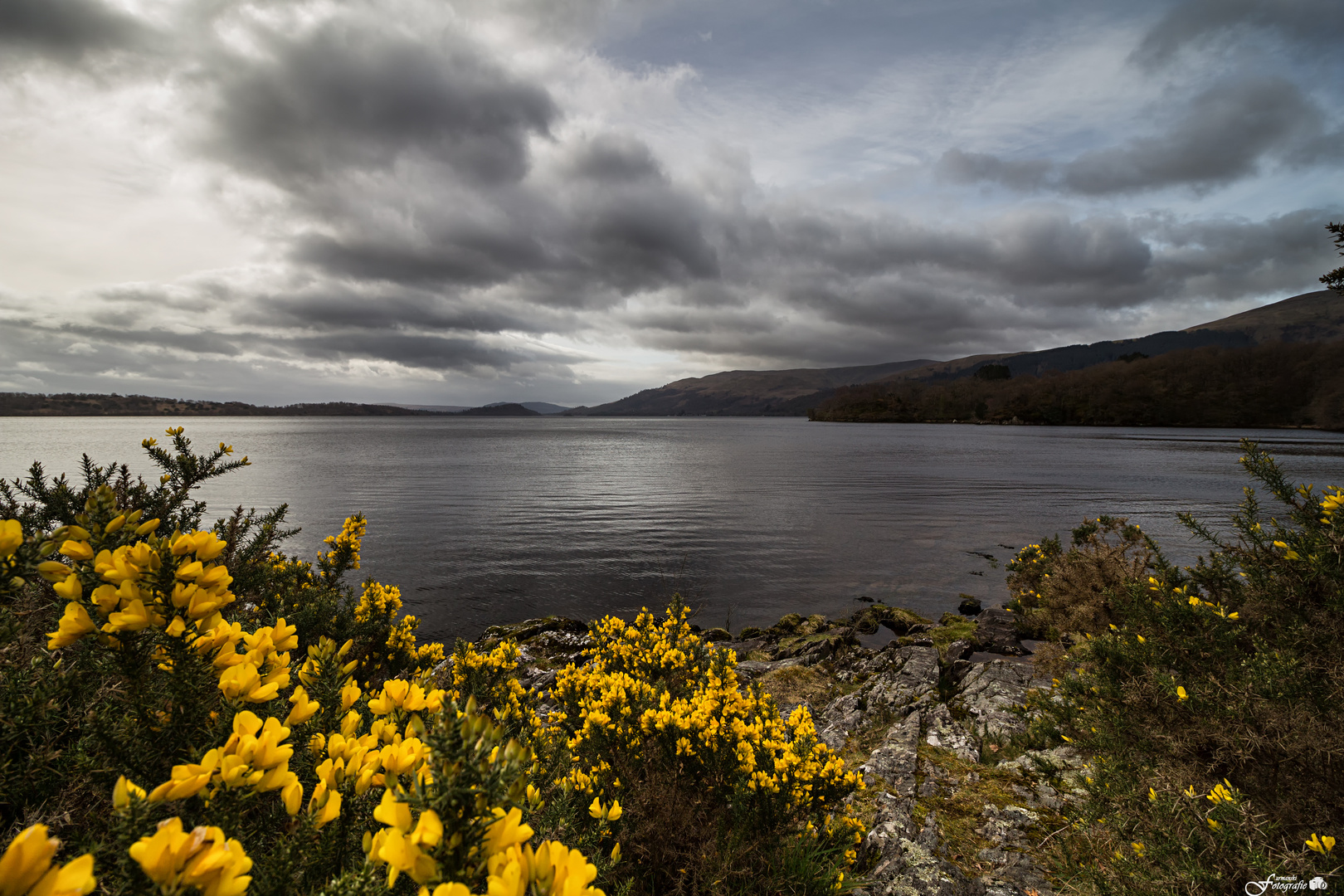 Blick auf Loch Lomond