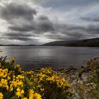 Blick auf Loch Lomond