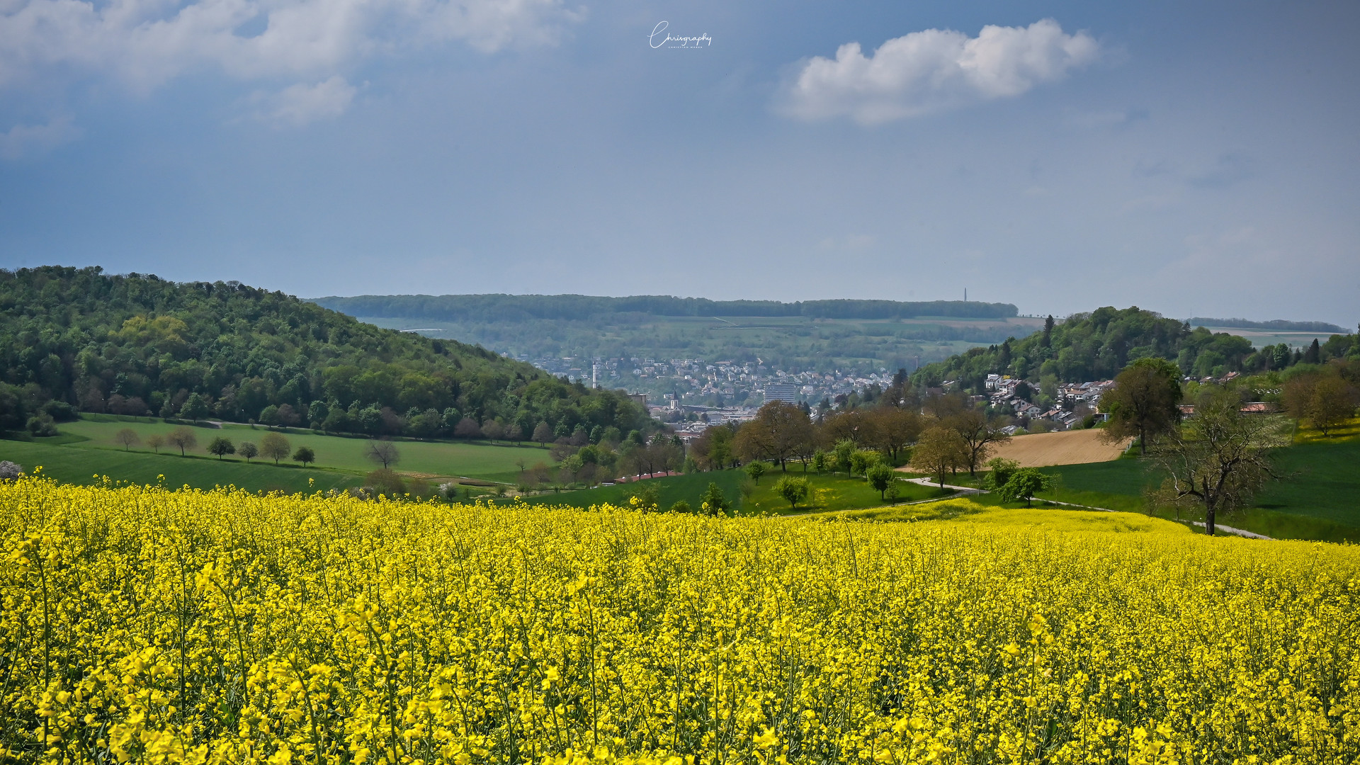 Blick auf Lörrach