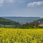 Blick auf Lörrach