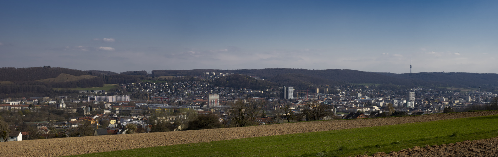 Blick auf Lörrach