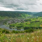 Blick auf Lösnich Richtung Traben Trarbach