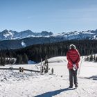 Blick auf Loferer Steinberge