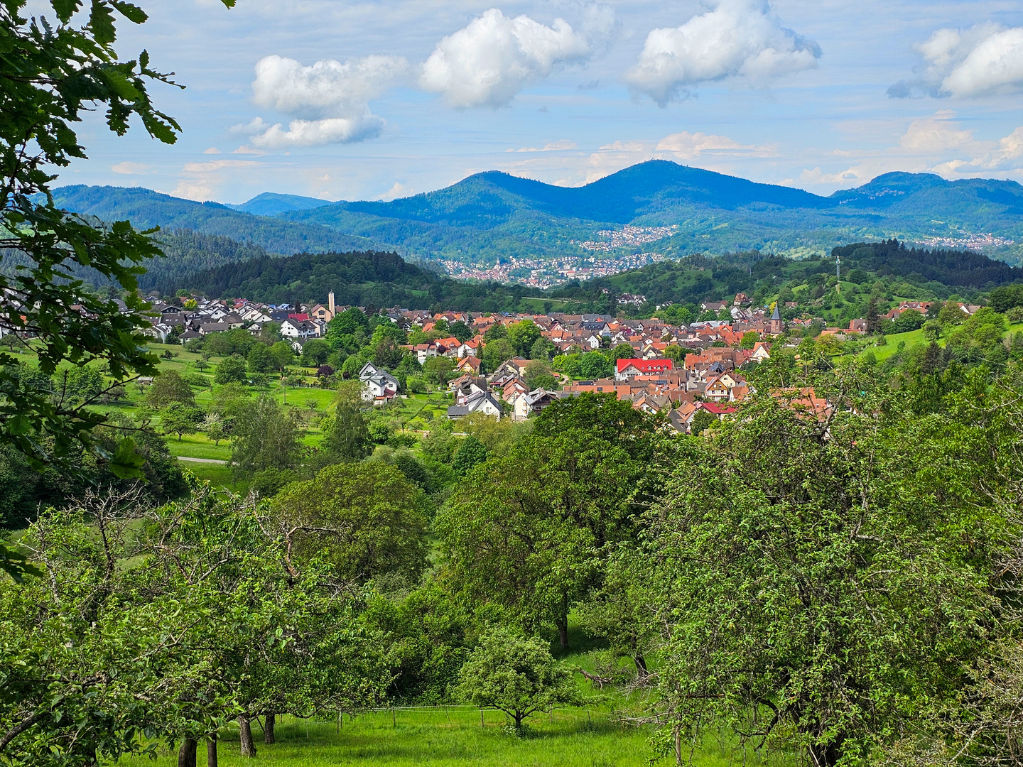 Blick auf Loffenau 