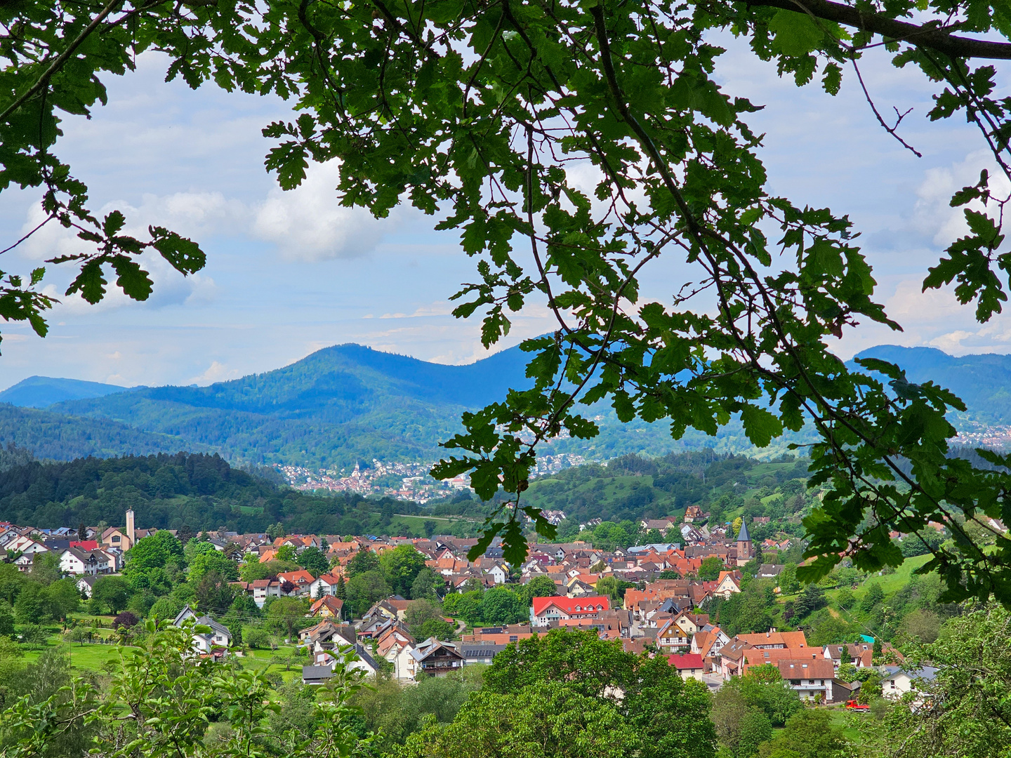 Blick auf Loffenau 