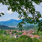 Blick auf Loffenau 