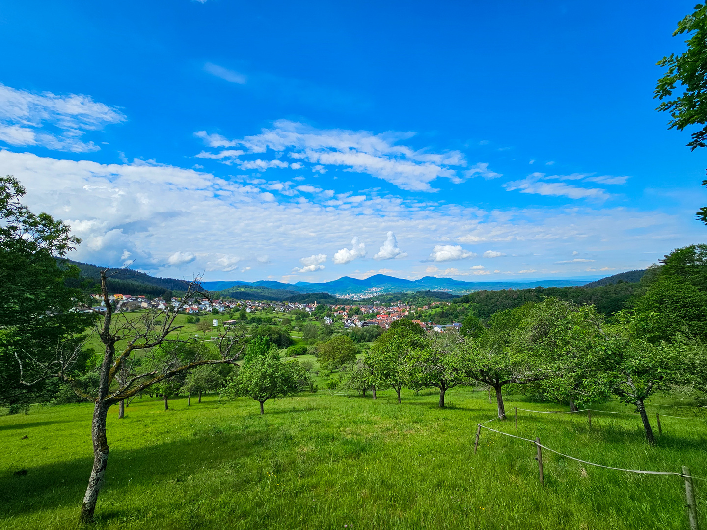 Blick auf Loffenau 