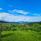 Blick auf Loffenau 