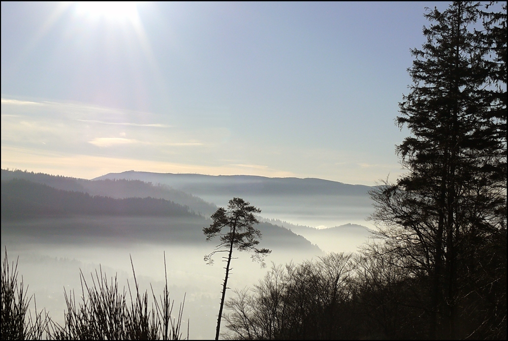 Blick auf Loffenau.......endlich