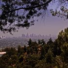 Blick auf Los Angeles