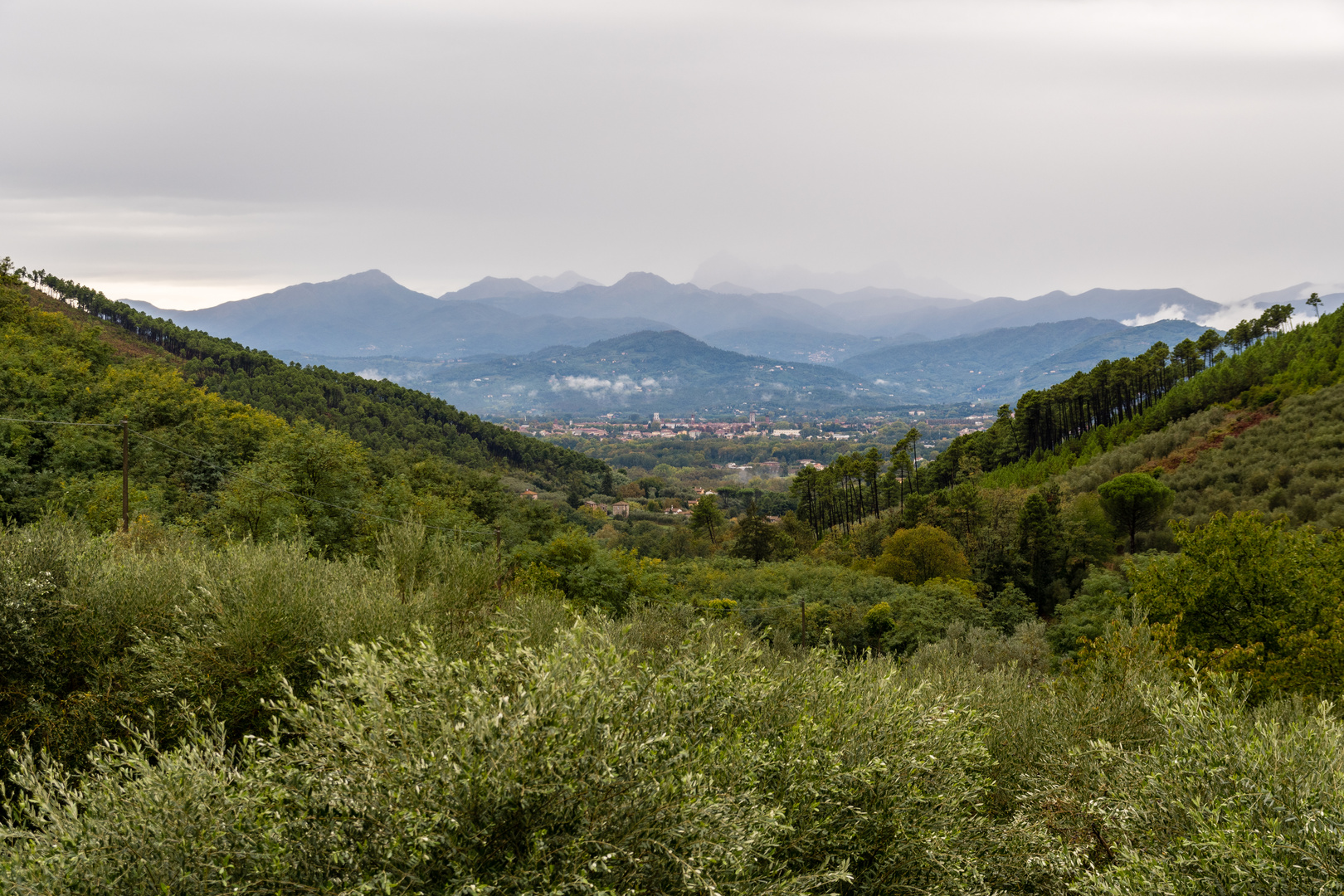 Blick auf Lucca