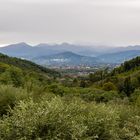 Blick auf Lucca