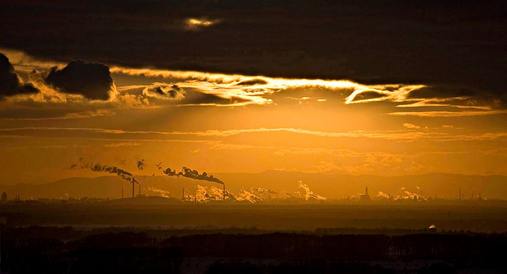 Blick auf Ludwigshafen