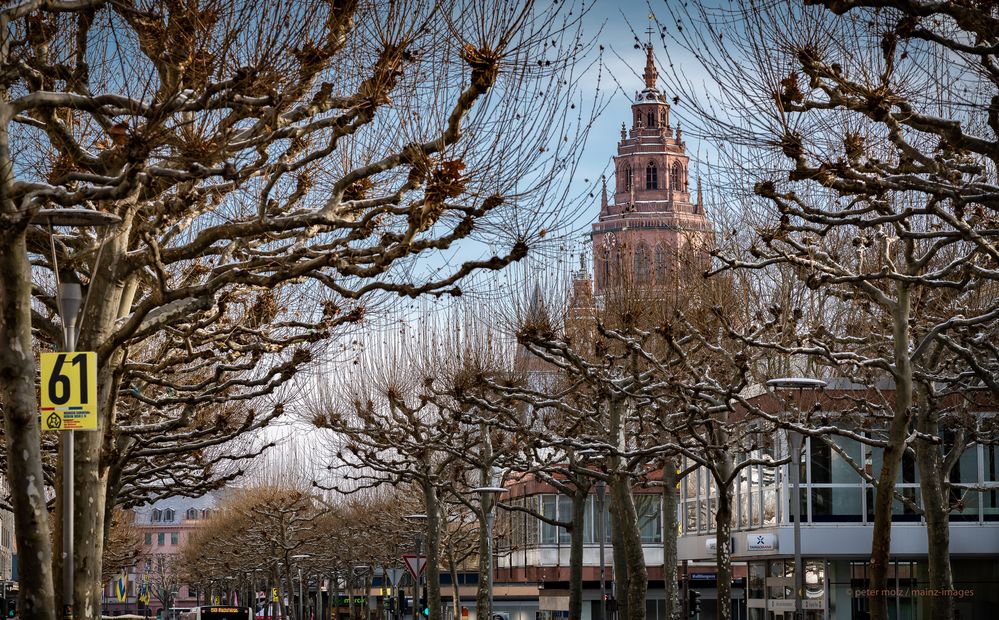 Blick auf Ludwigstrasse und Dom - Mainz Januar 2023