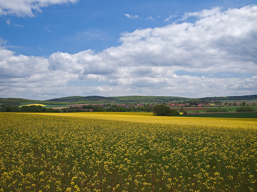 Blick auf Lutter