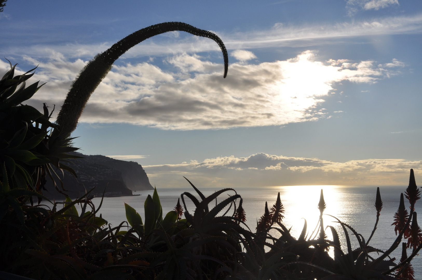 Blick auf Madeiras Steilküste und Meer