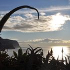 Blick auf Madeiras Steilküste und Meer