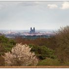 Blick auf Magdeburg