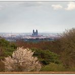 Blick auf Magdeburg