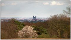 Blick auf Magdeburg