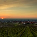 Blick auf Maikammer, Sonnenaufgang HDR