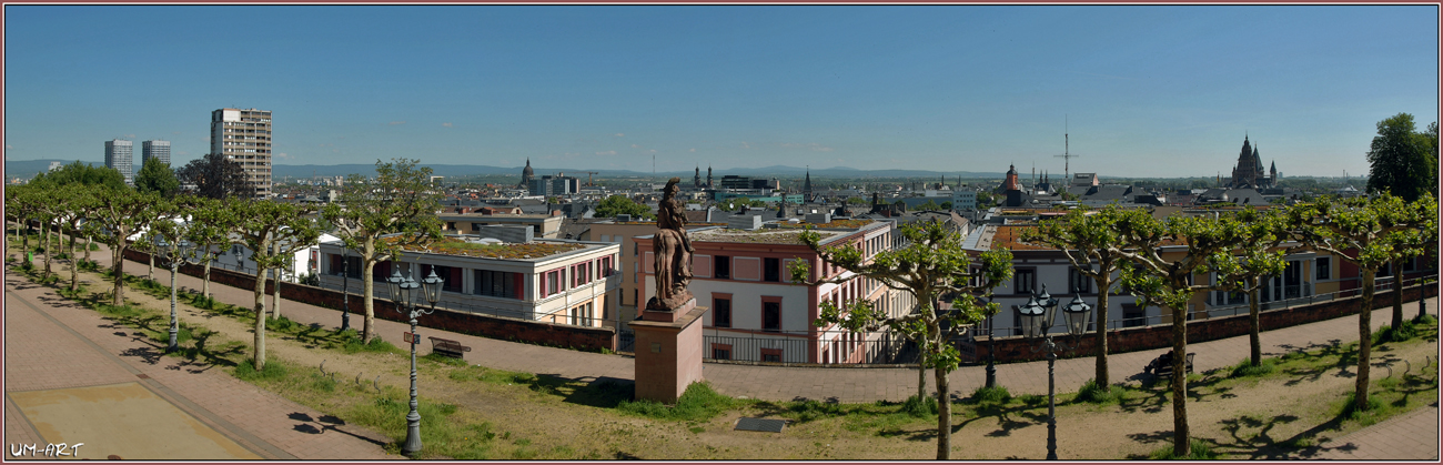 Blick auf Mainz aus...