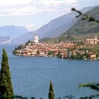 Blick auf Malcesine am Gardasee