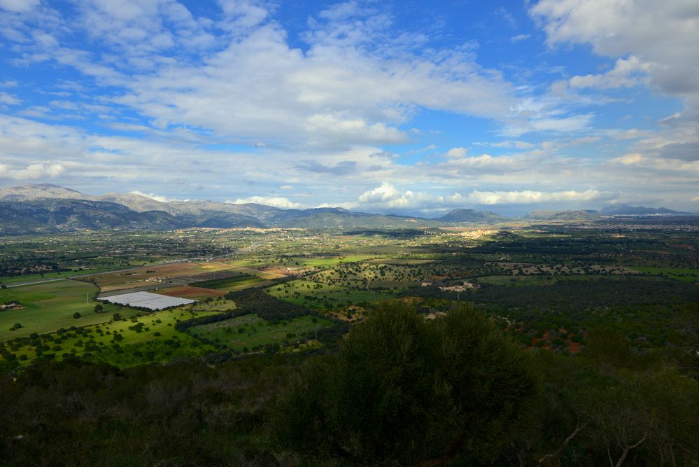 Blick auf Mallorca