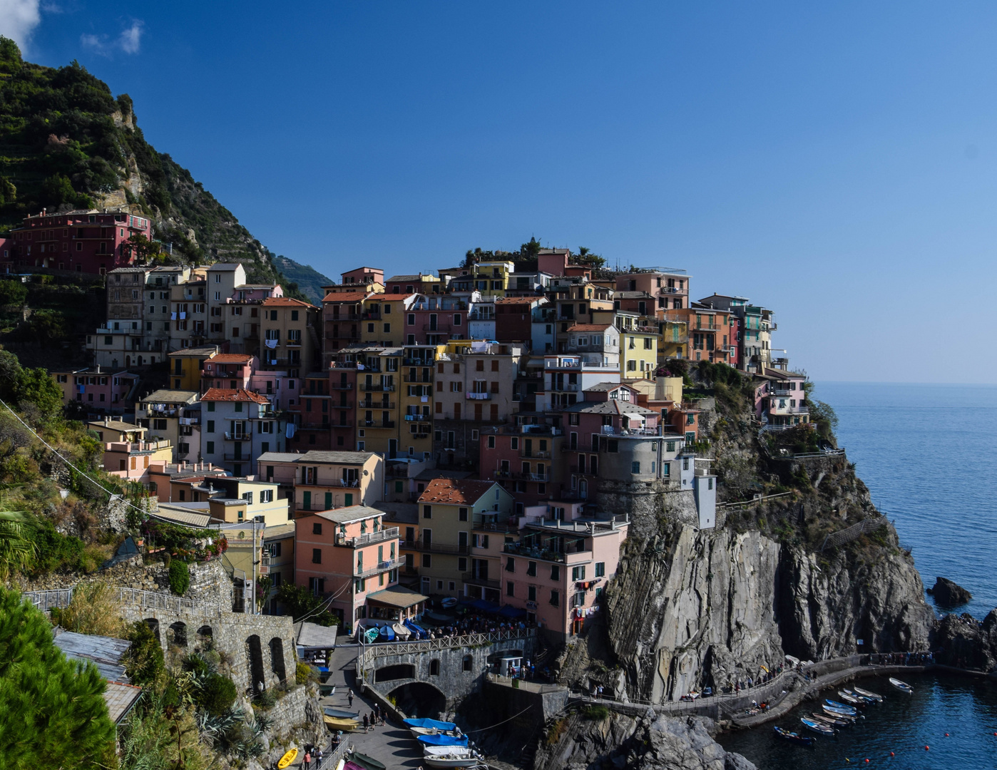 Blick auf Manarola