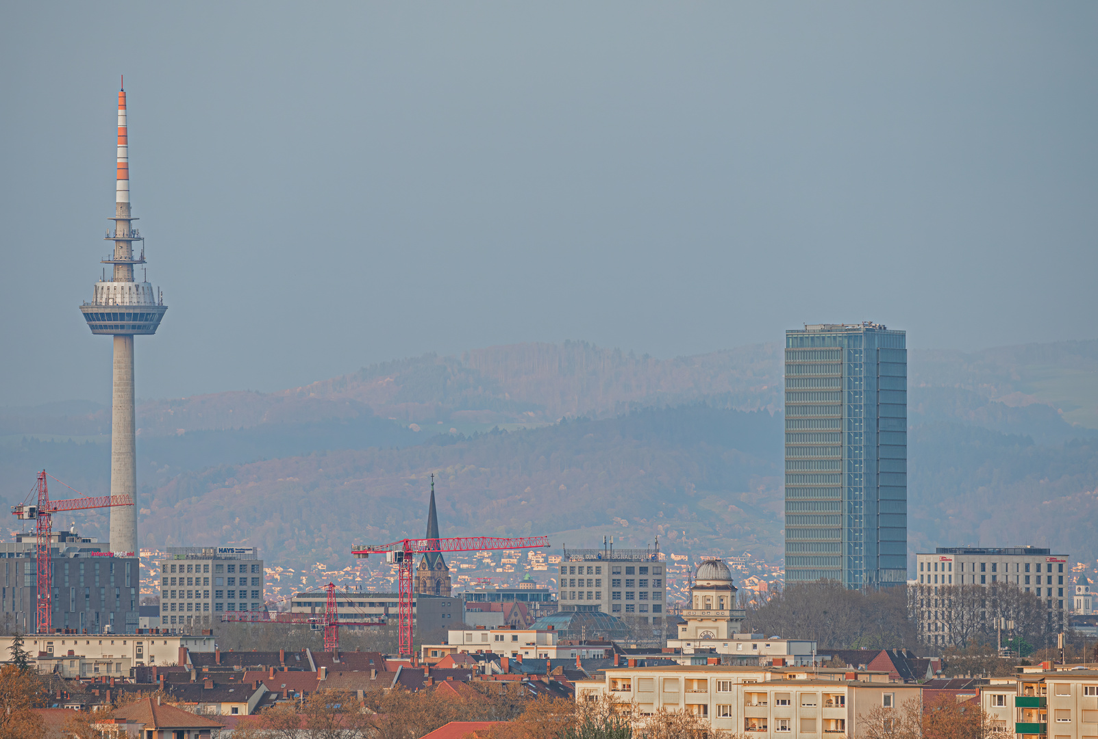 Blick auf Mannheim