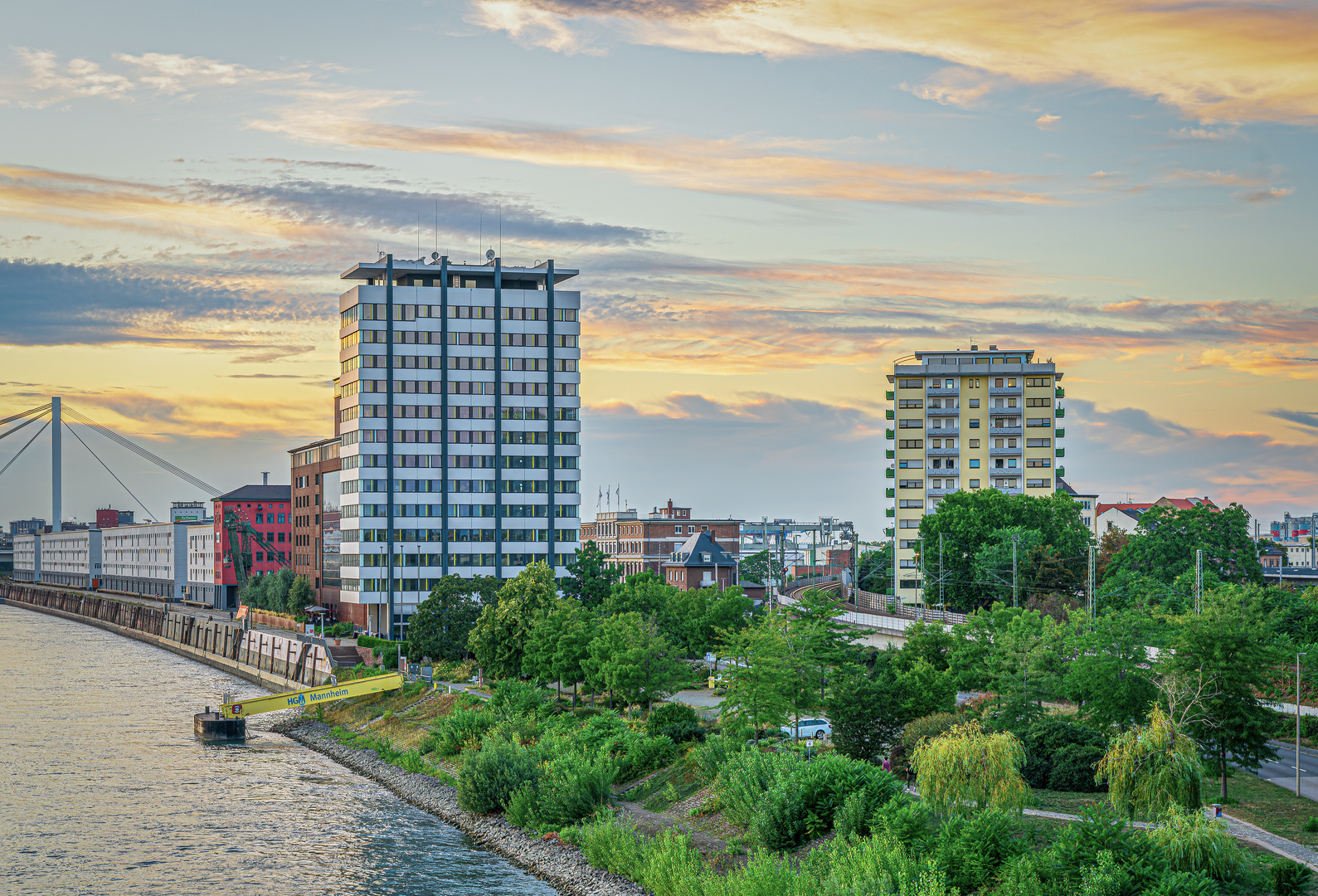 Blick auf Mannheim 