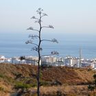 Blick auf Marbella und das Meer (2)