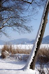 Blick auf Maria Wörth