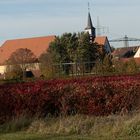 Blick auf Marienwallfahrtskirche