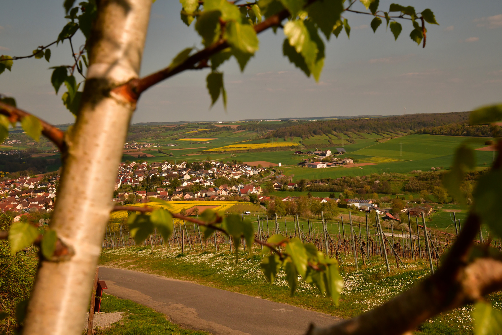 Blick auf Markelsheim