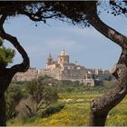 Blick auf Mdina