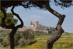 Blick auf Mdina