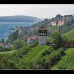 Blick auf Meersburg