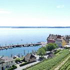 Blick auf Meersburg und den Bodensee