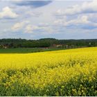 Blick auf meinen Heimatort Baruth vom Sonnenberg bei Rackel aus gesehen