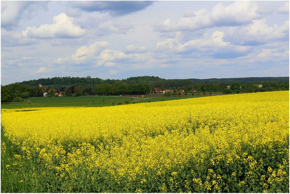 Blick auf meinen Heimatort Baruth vom Sonnenberg bei Rackel aus gesehen