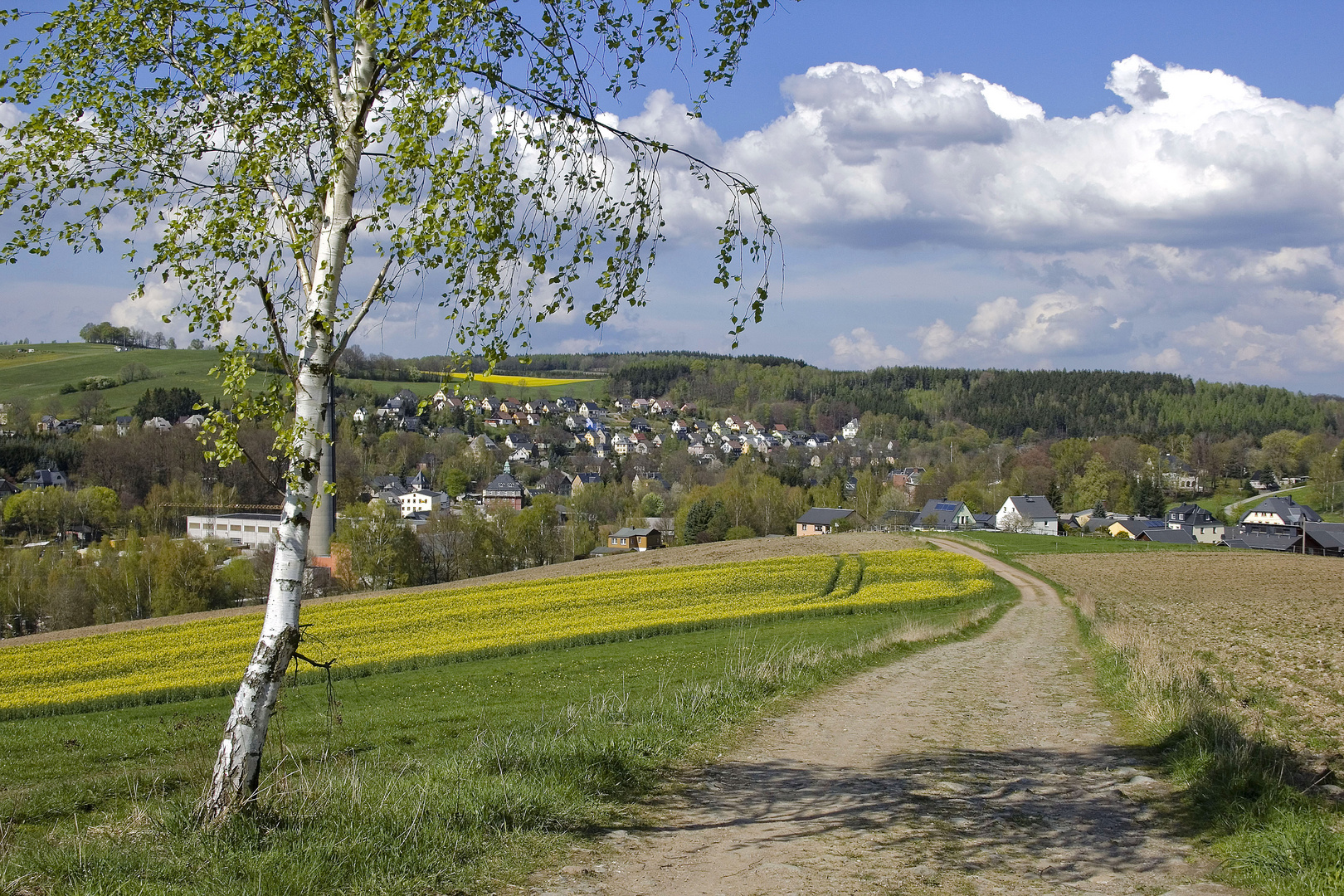 Blick auf Meinersdorf